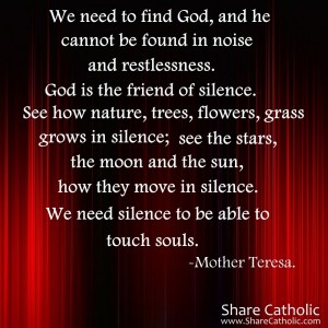 We need to find God, and he cannot be found in noise and restlessness. God is the friend of silence.