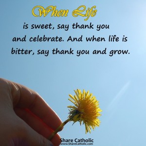 When life is sweet, say thank you and celebrate. And when life is bitter, say thank you and grow.