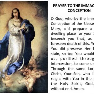 Happy Feast of the Immaculate Conception