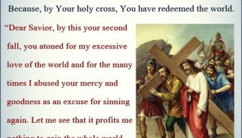 The Seventh Station – Jesus falls a second time